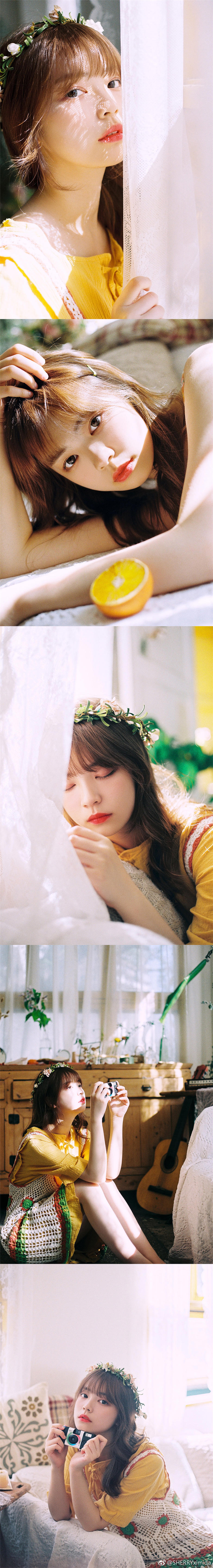 可爱的兔子作文